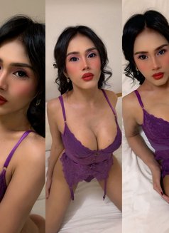 Princess of Sex & HugeCock - Acompañantes transexual in Bangkok Photo 15 of 15