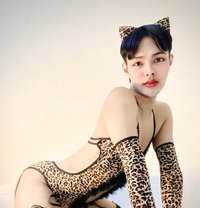 Princess of Thailand 🇹🇭 - masseuse in Doha