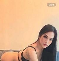 Princess Paris is here mistress/dominant - Transsexual escort in Abu Dhabi Photo 18 of 18