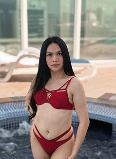 Princess Paris is here mistress/dominant - Transsexual escort in Marrakech Photo 17 of 24