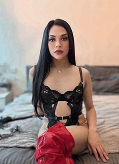 Princess Paris is here mistress/dominant - Transsexual escort in Marrakech Photo 21 of 24