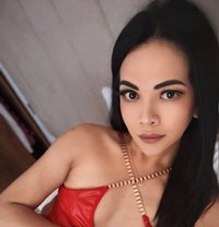 Princess Paris is here mistress/dominant - Transsexual escort in Rabat