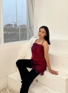 Priscillia new arrive in town 💋ྀིྀི - escort in Jakarta Photo 18 of 19