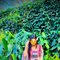 Priya Genuine‍❣️real Meet, Web Cam🤍66 - escort in Bangalore Photo 2 of 7