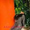 Riya - adult performer in Noida Photo 2 of 9