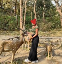 Priya, Outcall Only - escort in Chandigarh