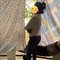 Priya Murugan an Independent Escort ONS - escort in Chennai Photo 2 of 6