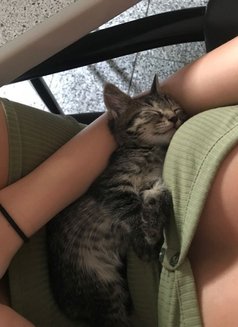 Priyanka - escort in Kathmandu Photo 1 of 1