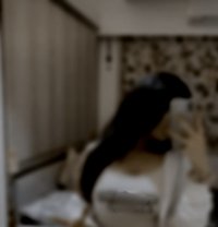 Priyaprincess - escort in Chennai