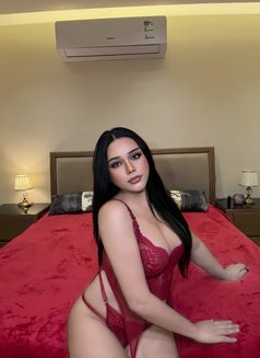 Professional Massage and Vvip Service - Acompañantes transexual in Khobar Photo 1 of 12