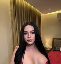 Professional Massage and Vvip Service - Transsexual escort in Khobar Photo 3 of 5