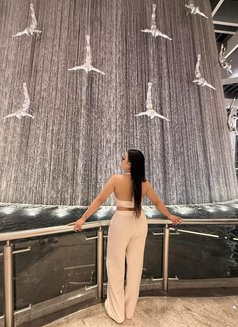 New ladyboy in Riyadh - Transsexual escort in Riyadh Photo 7 of 19