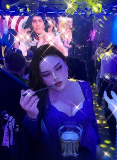 New ladyboy in Riyadh - Transsexual escort in Riyadh Photo 14 of 19