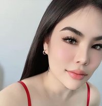 Professional Massage B2B Full Service - escort in Muscat