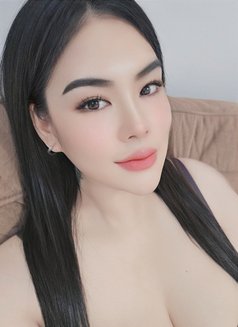 Professional Massage B2B Full Service - escort in Muscat Photo 8 of 15