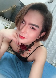 Professional massage 🇹🇭 Both Services - Acompañantes transexual in Muscat Photo 22 of 23