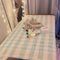 Pro massage therapy - masseuse in Al Manama Photo 1 of 15