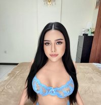 Professional massage VVIP service - Transsexual escort in Al Manama Photo 1 of 8