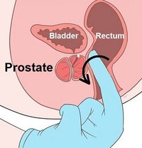 Prostate massage and 4 hands massage - masseuse in Al Manama