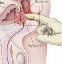 Professional Prostate Massage - puta in Al Manama