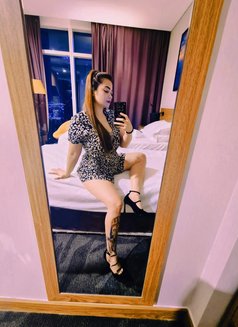 Professional Prostate +Testicles massage - escort in Dubai Photo 7 of 8