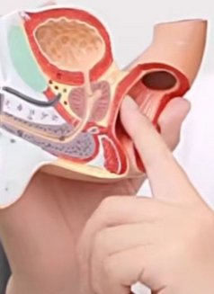 Prostate massage and 4 hands massage - masseuse in Al Manama Photo 15 of 15