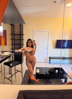 PSE YENSY (CREAMPIE) YES to ALL - escort in Taipei Photo 26 of 26