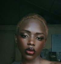 Puji - Transsexual escort in Nairobi