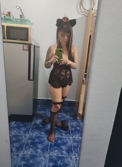 Puli Horny - escort in Pattaya Photo 1 of 11