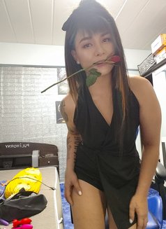 Puli Horny - escort in Pattaya Photo 4 of 6