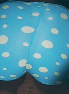 Pumpkin - escort in Coventry Photo 3 of 5