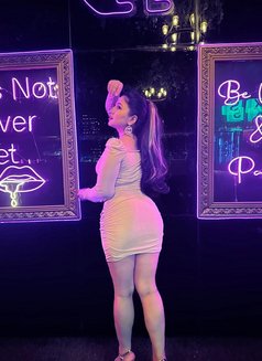 Pune Escorts 5★star Luxury Hotels 24x7 - escort in Pune Photo 10 of 15