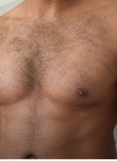 Puppy Guy - Acompañantes masculino in Al Manama Photo 1 of 1
