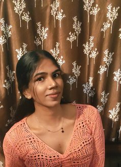 Madiwala queen Dilsha Pussy Trans - Transsexual escort in Bangalore Photo 7 of 11