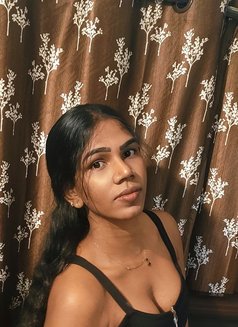 Madiwala queen Dilsha Pussy Trans - Transsexual escort in Bangalore Photo 8 of 11