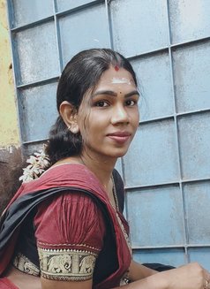 Madiwala queen Dilsha Pussy Trans - Transsexual escort in Bangalore Photo 9 of 11