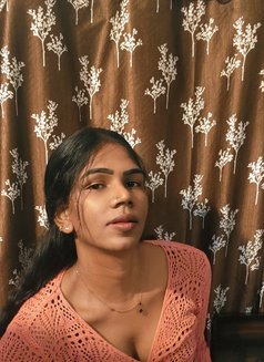 Madiwala queen Dilsha Pussy Trans - Transsexual escort in Bangalore Photo 10 of 11