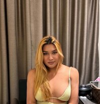 Pussy Kat - Acompañantes transexual in Manila