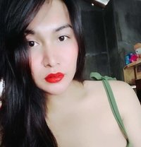 Pussy Kat - Acompañantes transexual in Manila