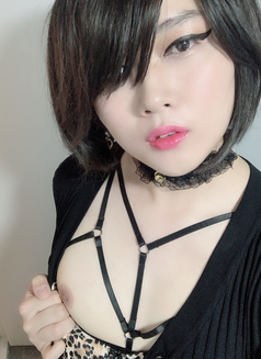 TV PussyRay - Transsexual escort in Seoul Photo 6 of 22