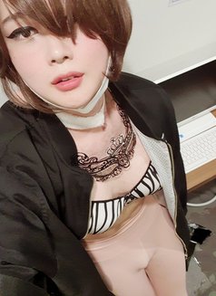 F-cup top mistress Pussycat Ray☆ - Acompañantes transexual in Seoul Photo 1 of 20