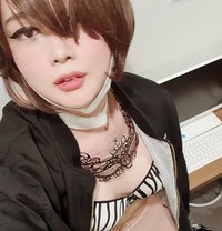 F-cup busty Pussycat Ray☆ - Transsexual escort in Seoul