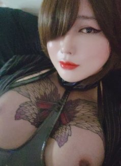 F-cup top mistress Pussycat Ray☆ - Transsexual escort in Seoul Photo 9 of 20