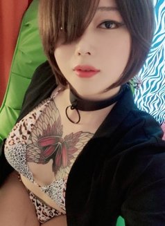 F-cup busty Pussycat Ray☆ - Transsexual escort in Seoul Photo 11 of 20