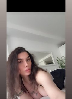 Qamar - Transsexual escort in Beirut Photo 3 of 6