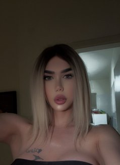 Qamar - Acompañantes transexual in Beirut Photo 6 of 7