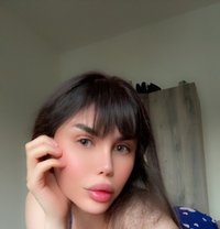 Qamar ‏Iraqi - Transsexual escort in Beirut