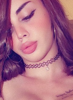 Qamar - Transsexual escort in Amman Photo 8 of 8