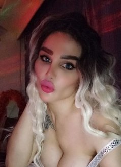 Qamar - Transsexual escort in Beirut Photo 2 of 6