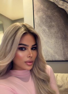 Qamar xxl - Transsexual escort in Riyadh Photo 27 of 27